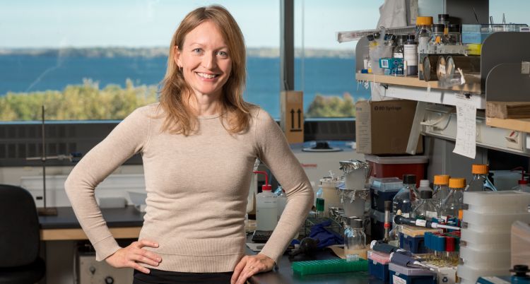 uw_medicine's tweet photo. Building on a discovery from nearly 10 years ago, Dr. Barbara Bendlin, professor, Geriatrics and Gerontology, and UW collaborators recently published a study in the journal Nature Communications linking the gut and the brain.

Read more: https://t.co/Y8mmQkrRiz https://t.co/7PXzBd1lw9