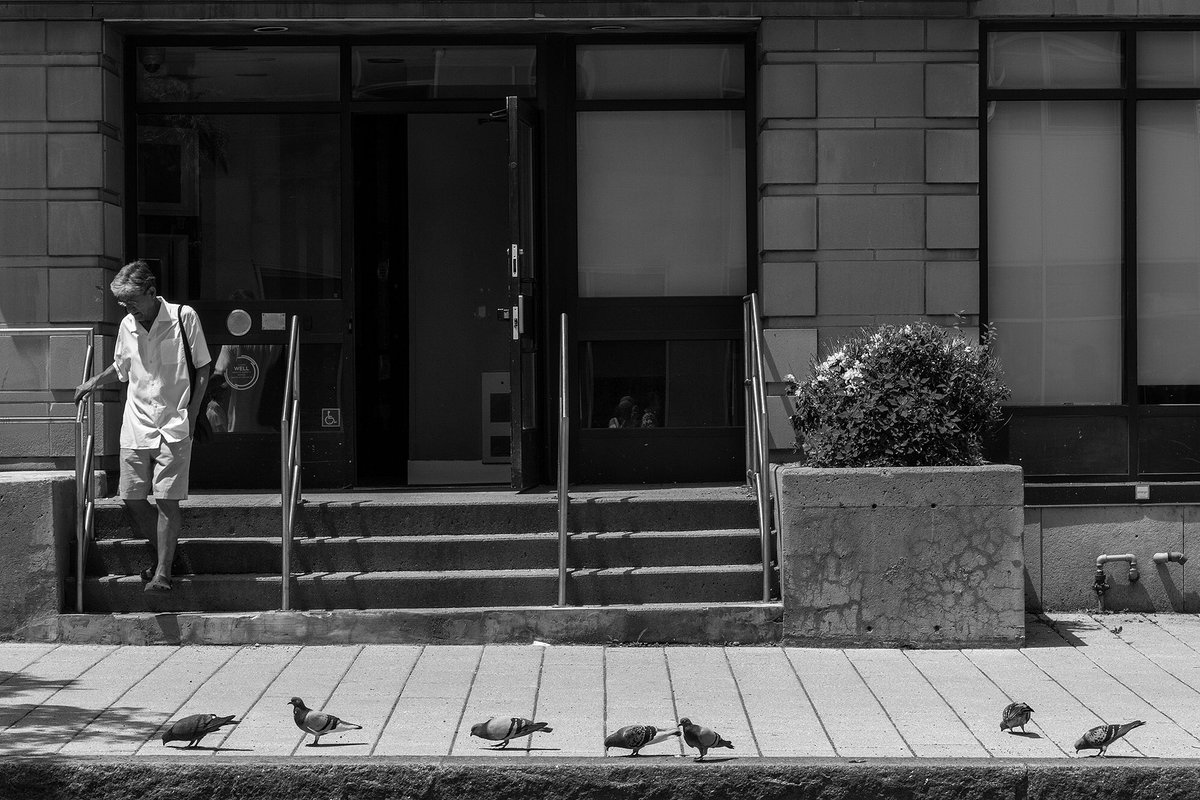 LouiseVerdone's tweet photo. Sidewalk level #Montreal #streetphoto📷😊
Niveau trottoir, scène de rue de #Montréal☮️👋
https://t.co/W57guoLKue🇨🇦
#streetphotography #urbanphotography #blackandwhitephotography #monochromephotography #bnwphotography #Photography #BW_streetphotography #everybodystreet https://t.co/ei2R6PCpCj