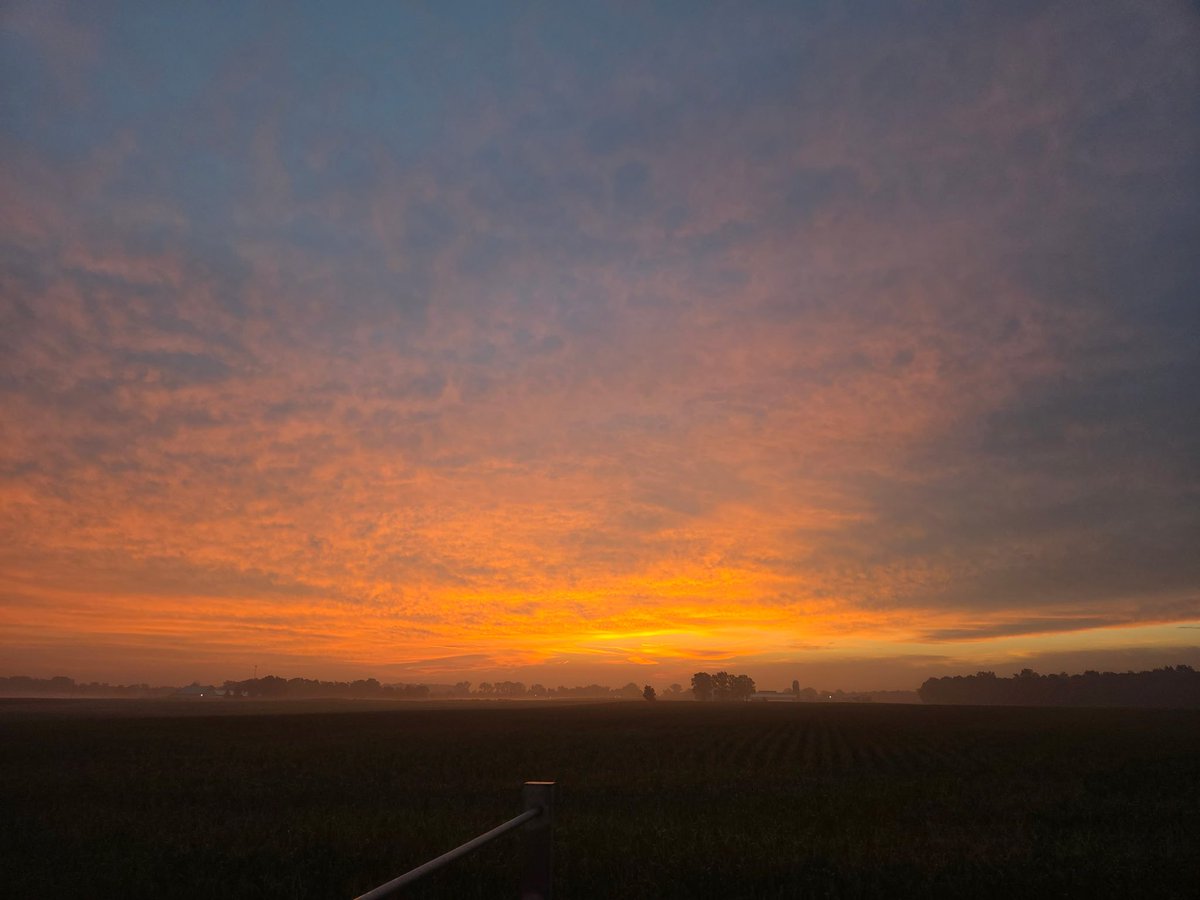 AGHoying's tweet photo. Morning view on the farm 📸 =Farmer Jason #45845views @JamieJarosik https://t.co/9ziBvaAup7