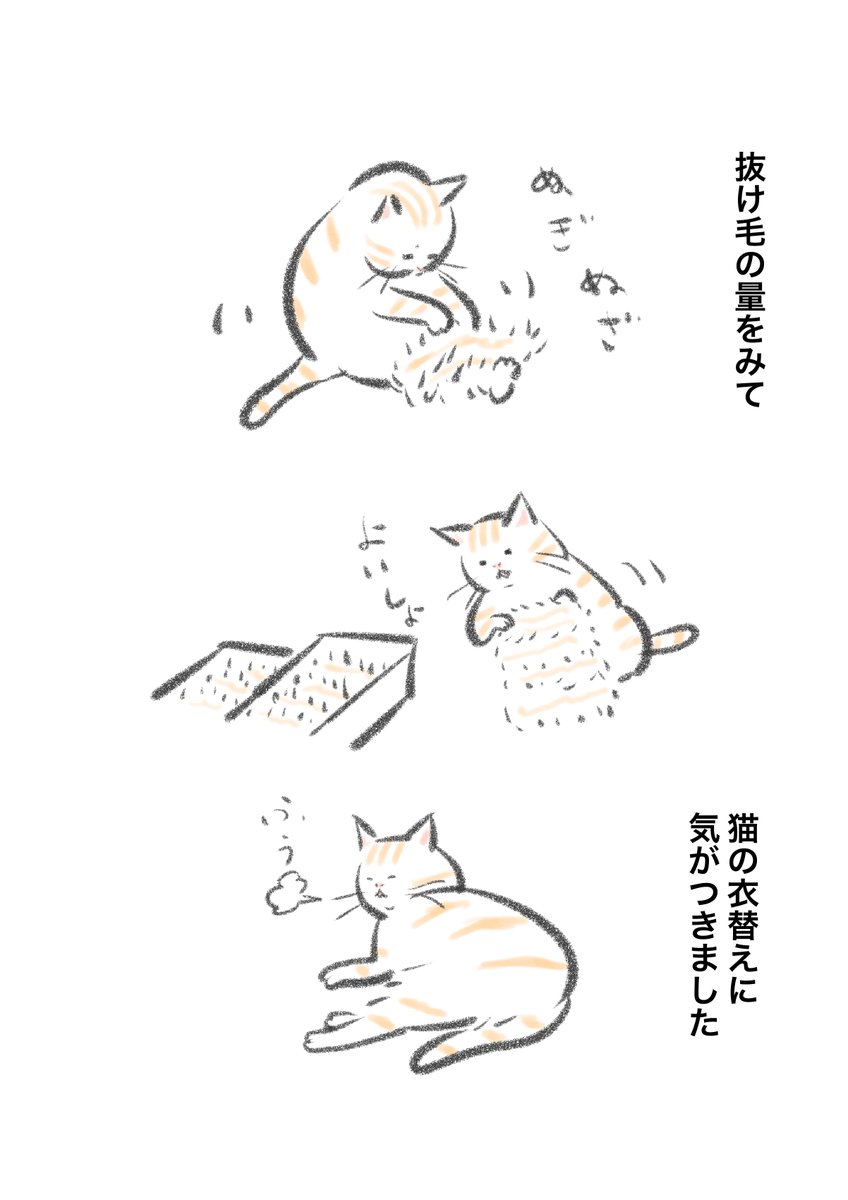 Kawasakipict's tweet photo. 換毛期。 https://t.co/ZqaEg19ZZR