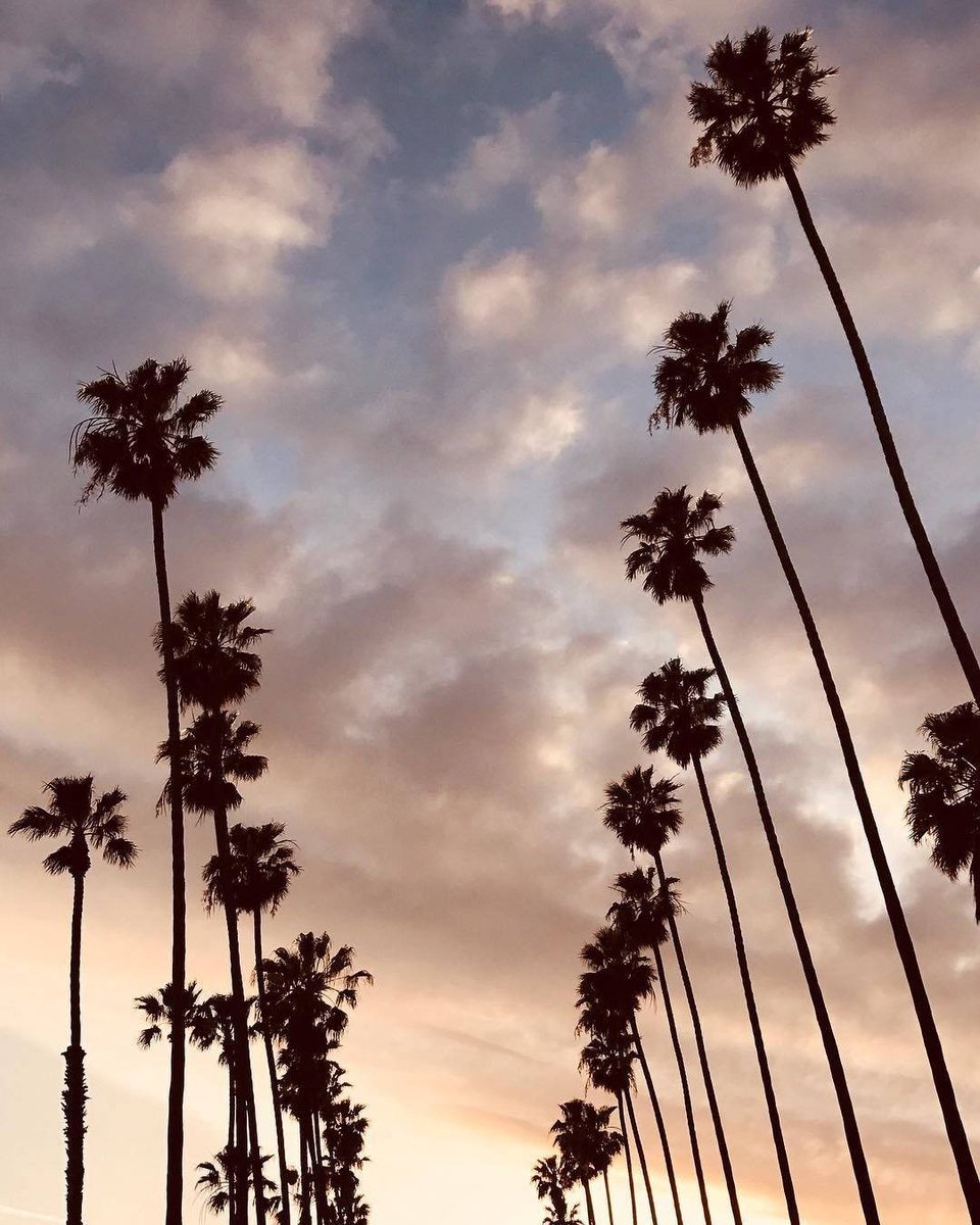 MiaClark6ny's tweet photo. Anyway so, when I left, my family actually tried to make me come back, saying sorry, promising that they won't do shit again, and making me feel guilty for leaving. It sucks because even though I know I should choose myself and worry over myself, but I still worry about them. https://t.co/vSesiusbEk