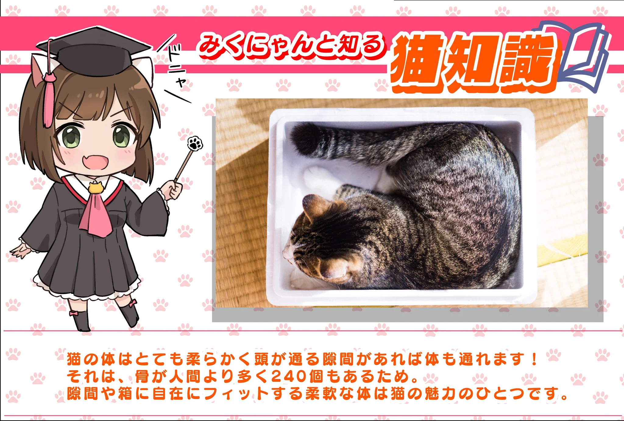 よせぐと on X: 