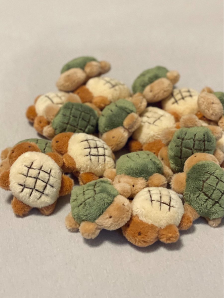 collonuinui's tweet photo. あとめちゃくちゃカメロンパン焼き上がってます…🐢💨（夜画質すぎる） https://t.co/2gqswn2cMg