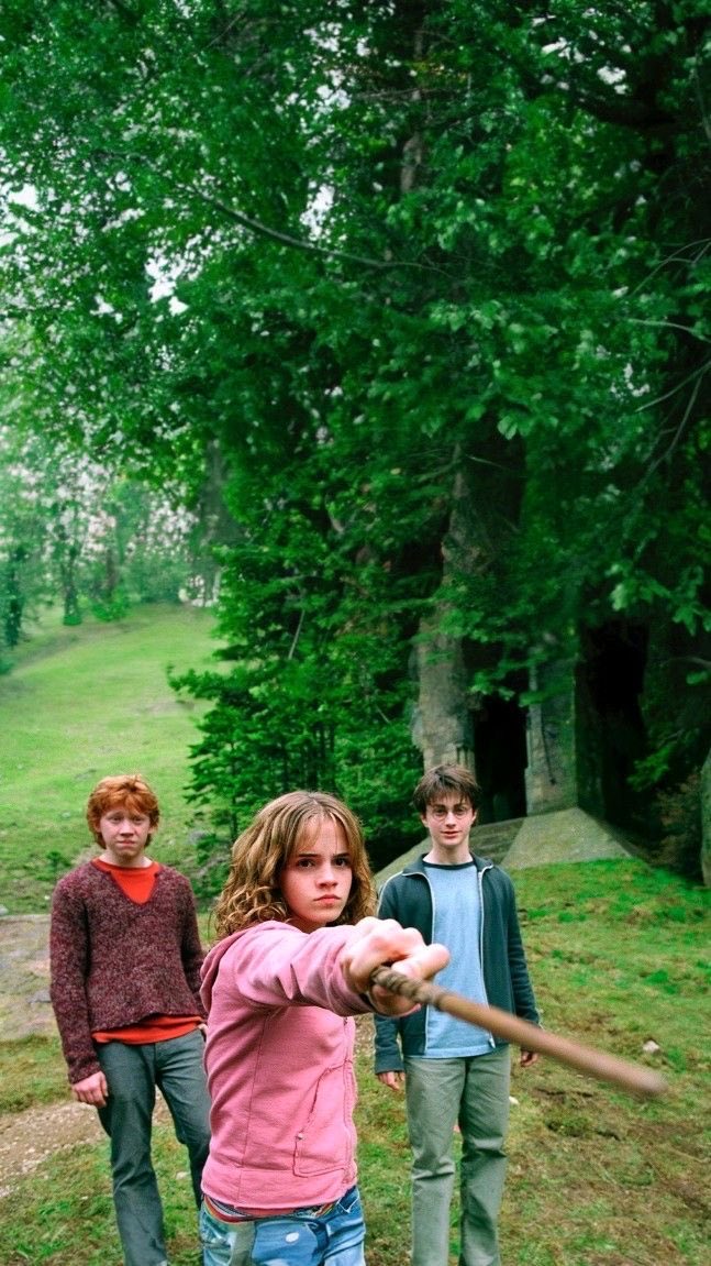 HarryPotterBrr's tweet photo. "Você! Sua barata nojenta, abominável e asquerosa." https://t.co/1ZwaYtwmfK