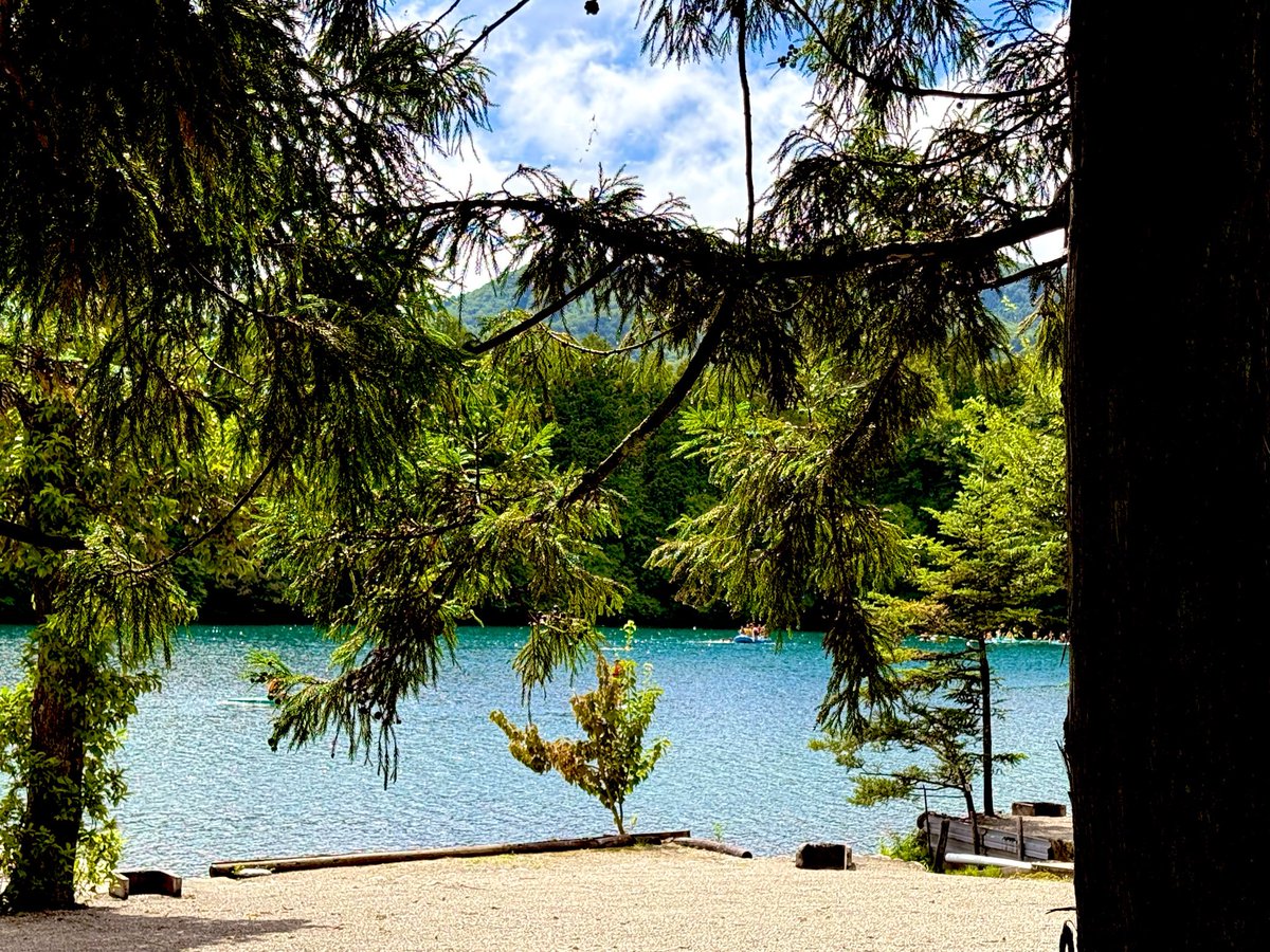 gijitaro's tweet photo. 青木湖キャンプ場🏕️
雨、晴れのち雲り、大雨…な3日間😓
悪天候予報のため、オルカヤック無し
晴れ間を見つけてレンタルカヌー🛶
天気いい時にリベンジしたい。

＃ベルランゴ　＃ルーフテント
＃青木湖 https://t.co/WOyPv9cZBj