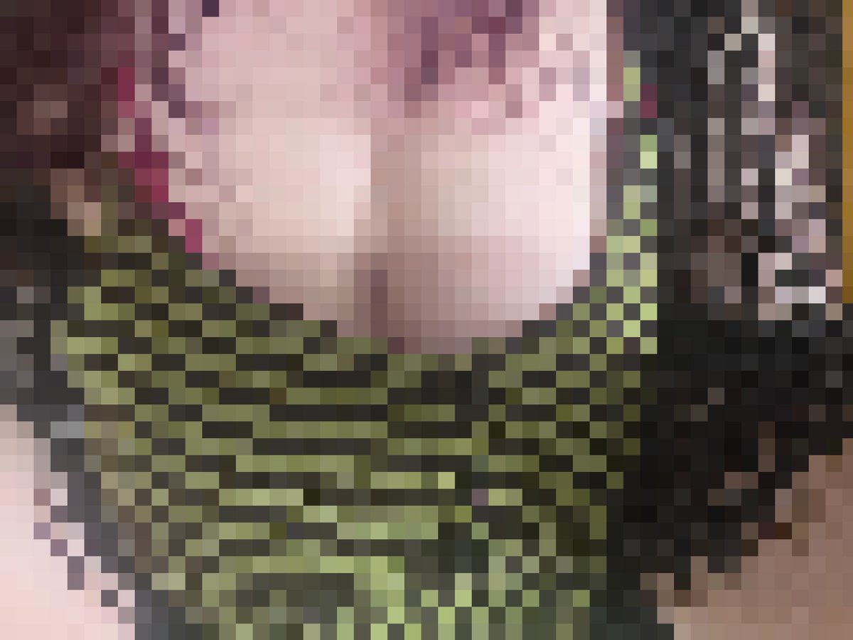 pixie_ruins's tweet photo. You love my pixelated cleavage, don't you, pet?

Don't I mesmerize you?

#betasafe #femdom #findom #paypig https://t.co/a6H1g71i1n