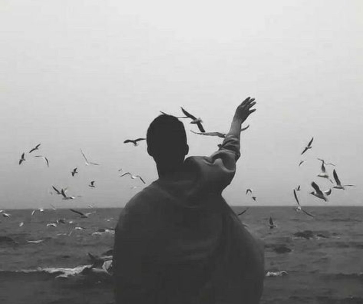 Gulzar__sahab's tweet photo. इजाज़त लेकर उड़ने वाले परिंदे नहीं होते...☝🏻
आसमान उनका है जो पंखों पर यक़ीन रखते हैं....💯🖤 https://t.co/N5XY3uoh4Q