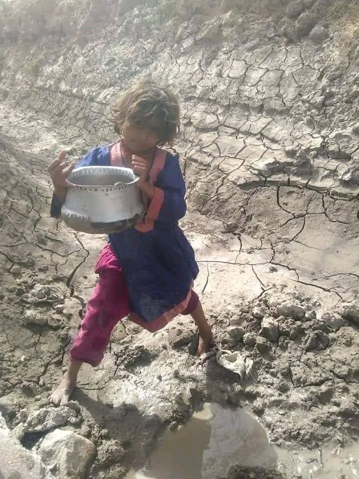 AbidHus09366992's tweet photo. کاچھوسندھ میں خشک سالی، زیرِ زمین پانی کی سطح میں کمی اور پانی کے زہریلا ہونے لگا 
 اس خطے میں صدیوں سے لوگ سخت موسمی حالات، پانی کی قلت اور محدود وسائل کے ساتھ زندگی گزارتے آئے ہیں۔ لیکن اس وقت کاچھو میں خشک سالی کی شدت صرف فصلوں اور مویشیوں کی تباہی ہونے لگی https://t.co/Ga13i4YqE8