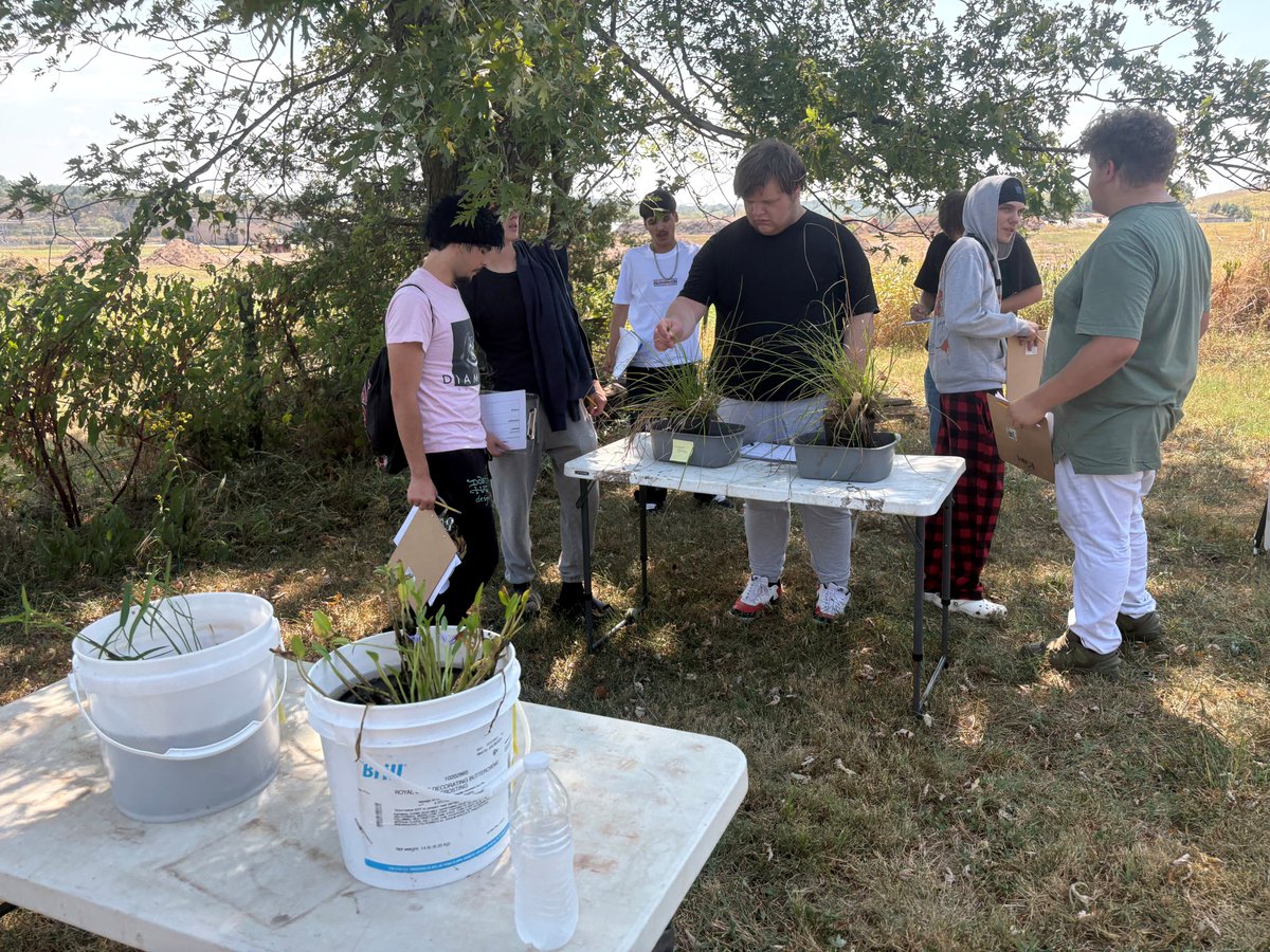 StudyAltCenter's tweet photo. Aquatic plants do more than look nice. Study students learned all about floating wetlands and native plants at the Watershed Committee Nursery. #studyoutside #youbelong @officialSPS #spsfarm2school https://t.co/NxYfUjuynv