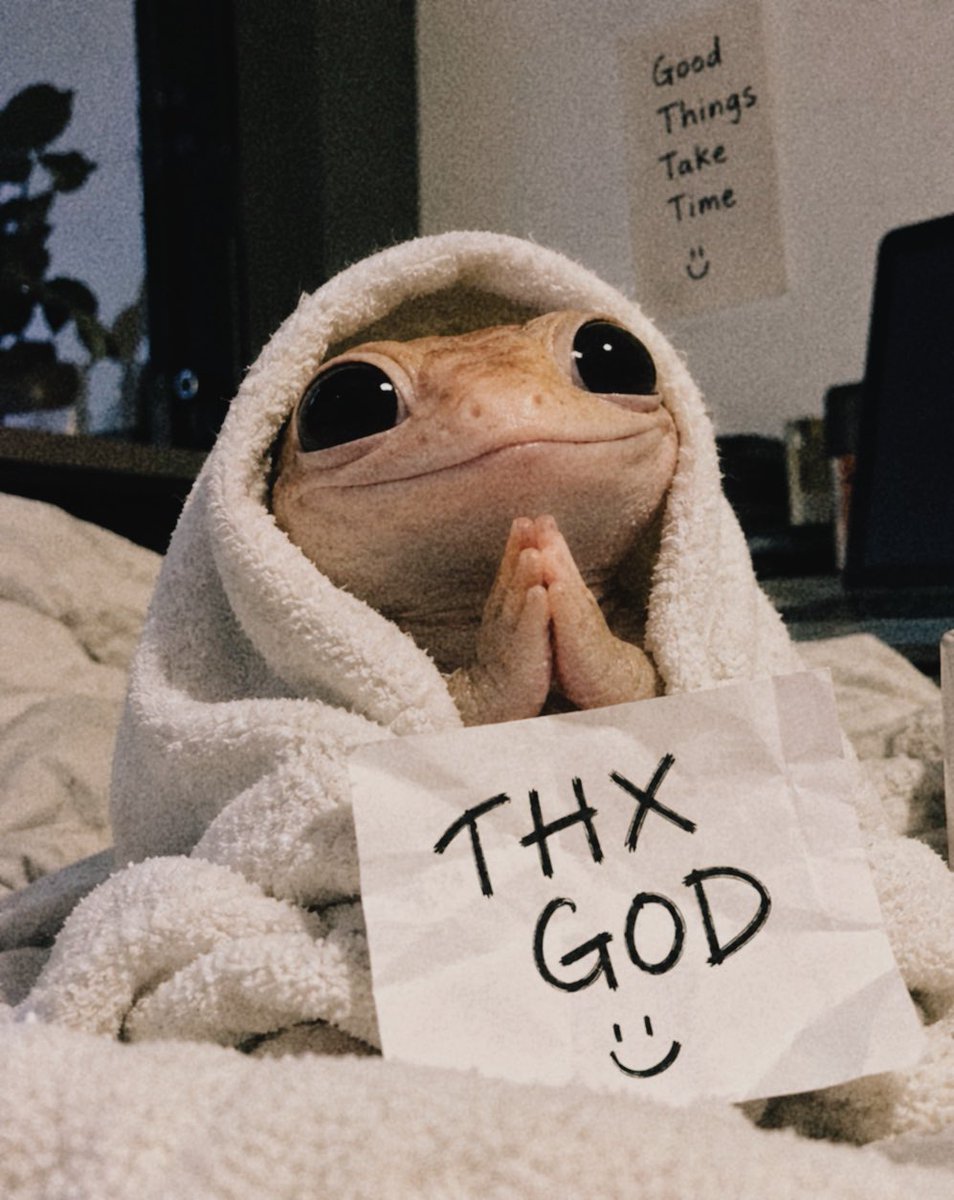 THXGDC's tweet photo. trading memecoins today?

if your trade hits, come back here and say THX GOD 🛐

good luck in the trenches 🤝

$THXGD

#Memecoin #Solana https://t.co/Le4t7pLBbh