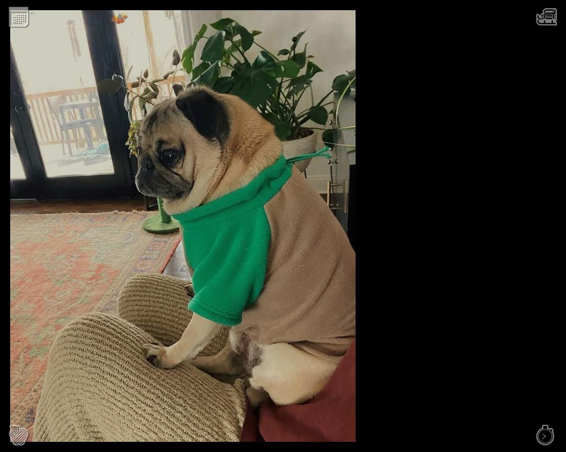 kingkongoo's tweet photo. A few months afterward, the book came out and turned into a bestseller. Readers from every corner of the globe sent letters to Clara, sharing how her tale had assisted them, offered them hope, and aided their recovery. Clara felt deeply moved,🐫Walk after rain Walk, added https://t.co/Cdm75rnJXf