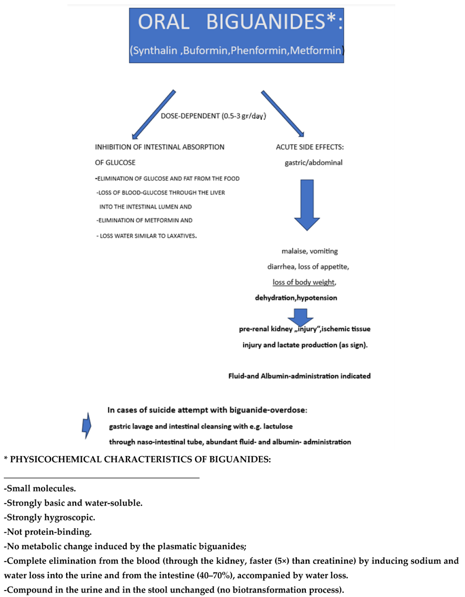 LiversMdpi's tweet photo. 📢 Editor’s Choice 
📌 Review in @LiversMDPI

 🧬 Oral biguanides reach high intestinal levels and reduce glucose absorption.
 🩺 The review describes side effects and fluid loss. 

 📖 https://t.co/mdWKJ4Joxi

#Biguanides #IntestinalGlucoseExcretion #Diabetes #KidneyInjury https://t.co/Zs5Fj7B7as