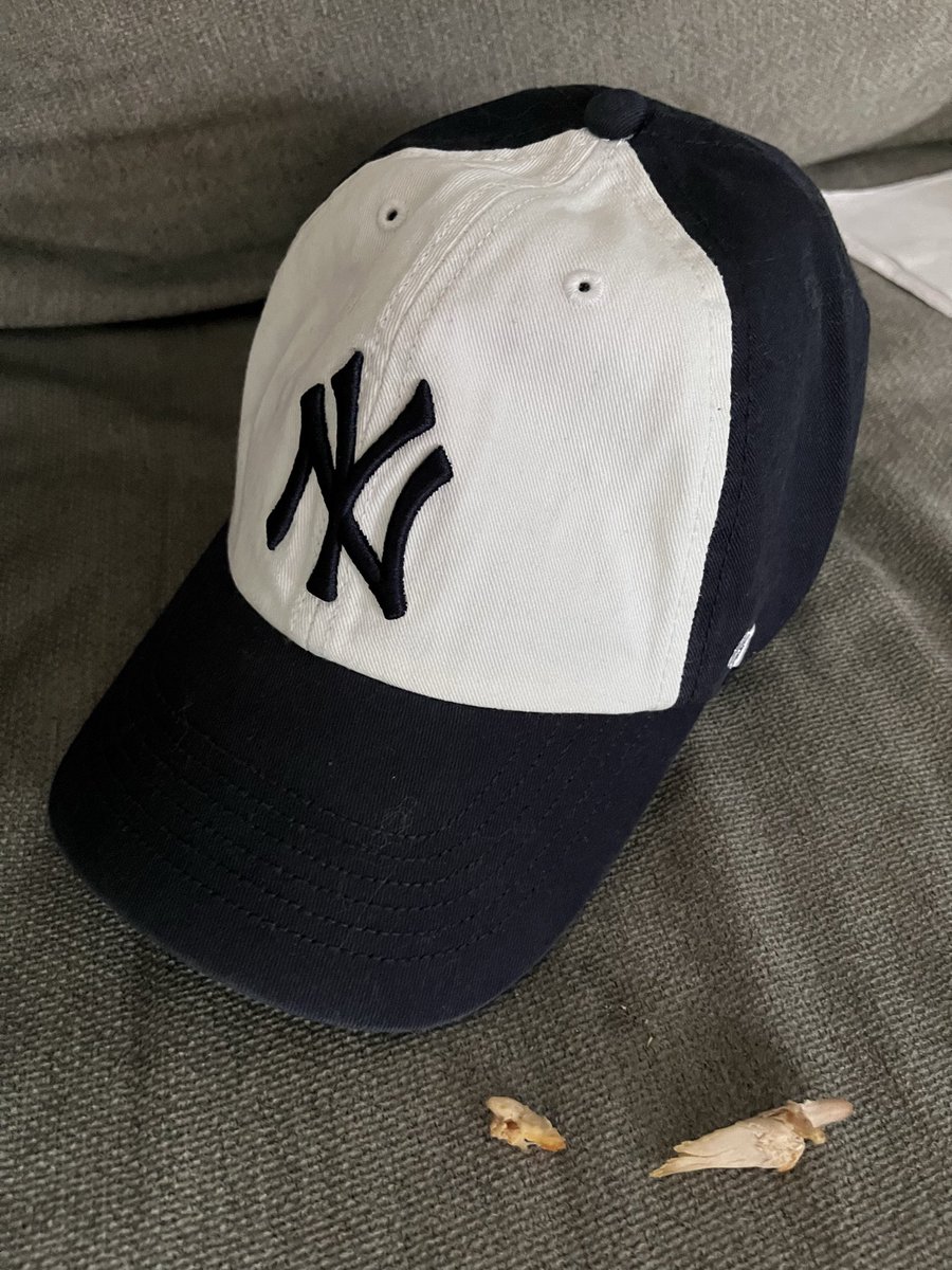Muzixndmd's tweet photo. #YankeesCapOfTheDay
@47 FRANCHISE FITTED front/back2-tone.
#ToyotaPinstripePride a different @Yankees cap every NYY game.@YESNetwork #YankeesTwitter #RepBX #UnitedByCaps #LidsLoyal #NYYCapOfTheDay https://t.co/fKuWGebOKq