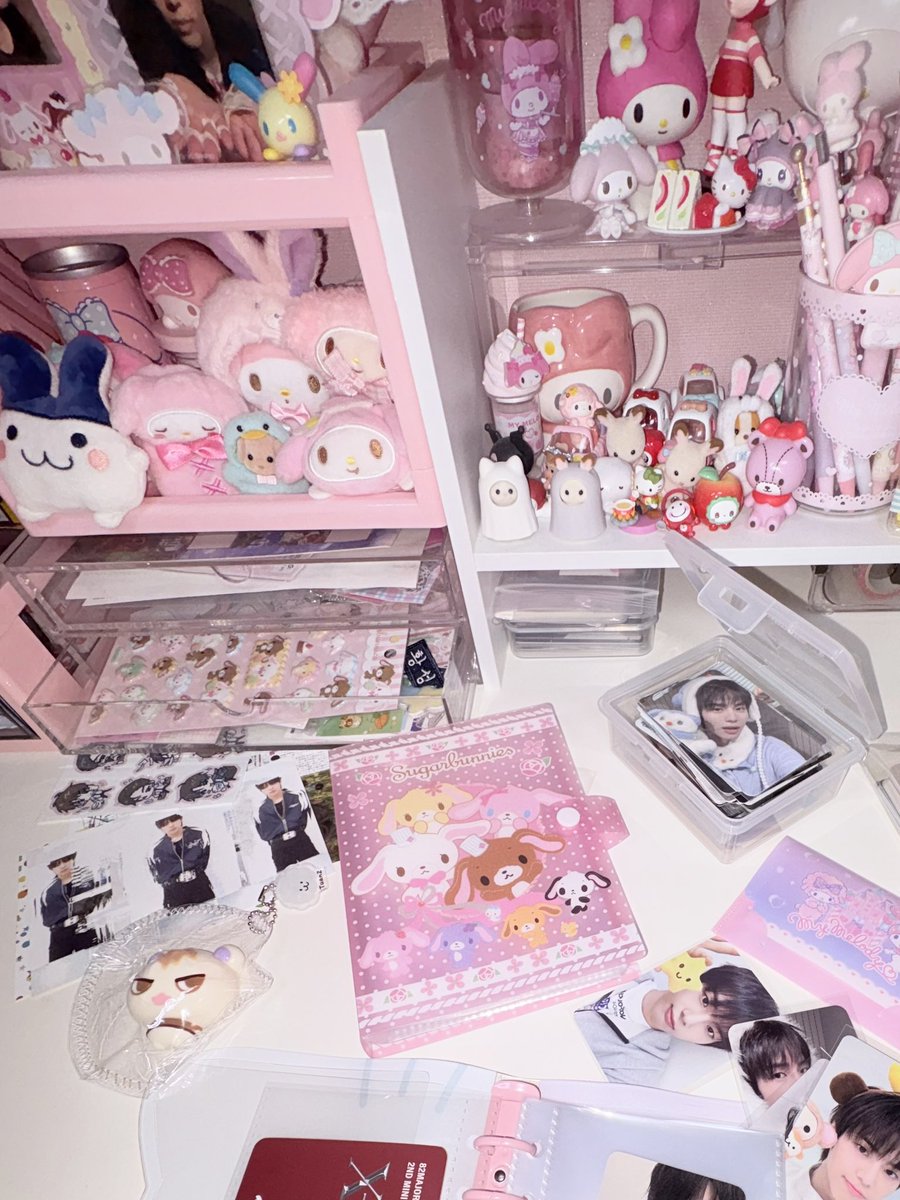 pinkylovesome's tweet photo. 난원래 방구석에서 다꾸하고 이러고노는사람인데 오빠보러 너무열심히다니느라 소홀해졋다 킁 https://t.co/zxJp4zqBMj
