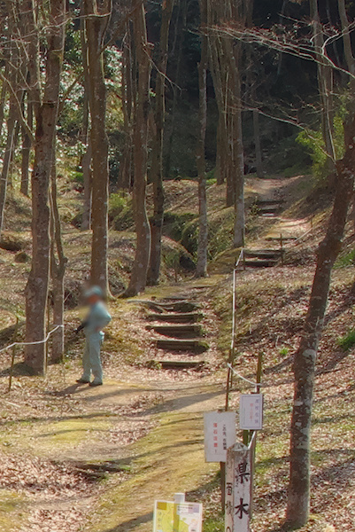 Tanji_Tweet's tweet photo. 羽生結弦さんの新写真集の撮影地（の一部？）が宮城県利府町の「青少年の森」みたいですね。行ったことあったから僕が撮った古い写真なんかを掘り出してきてみました。確かにここっぽい！青少年の森にある「二号展示館（明治時代洋館）」と利府城跡への入口の沢。もはやファン方々の聖地ですね😀 https://t.co/6FELvUkzGQ