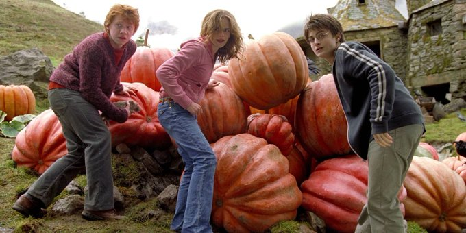 multiversohp's tweet photo. Pq Harry Potter e o Prisioneiro de Azkaban é o melhor da franquia?   
- Da pra assistir sem ver os outros 
- Viagem no tempo  
- Bicho papão e Lobisomem  
- Árvore nervosa  
- Mágica com formato de bichinho  
- Dementadores  
- Tem Lupin e Sirius no mesmo filme https://t.co/B5YEpTg53k
