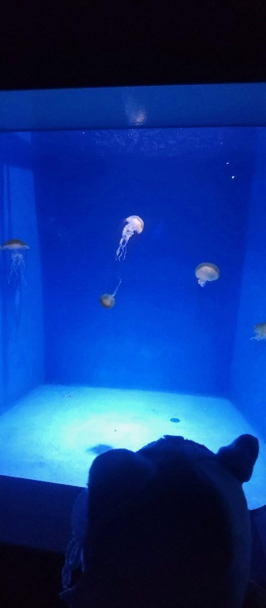 dwankyo14's tweet photo. 新浜レオンさんがトレンド入りしてる https://t.co/AI33zVAr0p