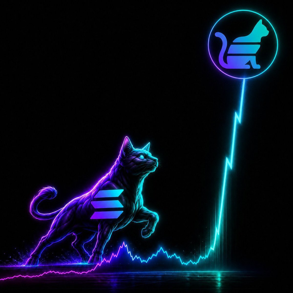 uni08wojkih's tweet photo. Perfect time to buy $SOLCAT . https://t.co/K2w9hVHxfi