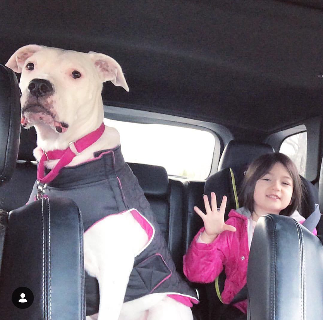 Zoe_and_Coco's tweet photo. @anglio @MetaWin I've been following you on Pumpfun for a long time @anglio , you're genuinely one of the best traders I'd love to learn from

If I get this win, I hope to ape your calls with it and change I and my daughters life

🆔 Remaprays https://t.co/GXi35zK9Oh