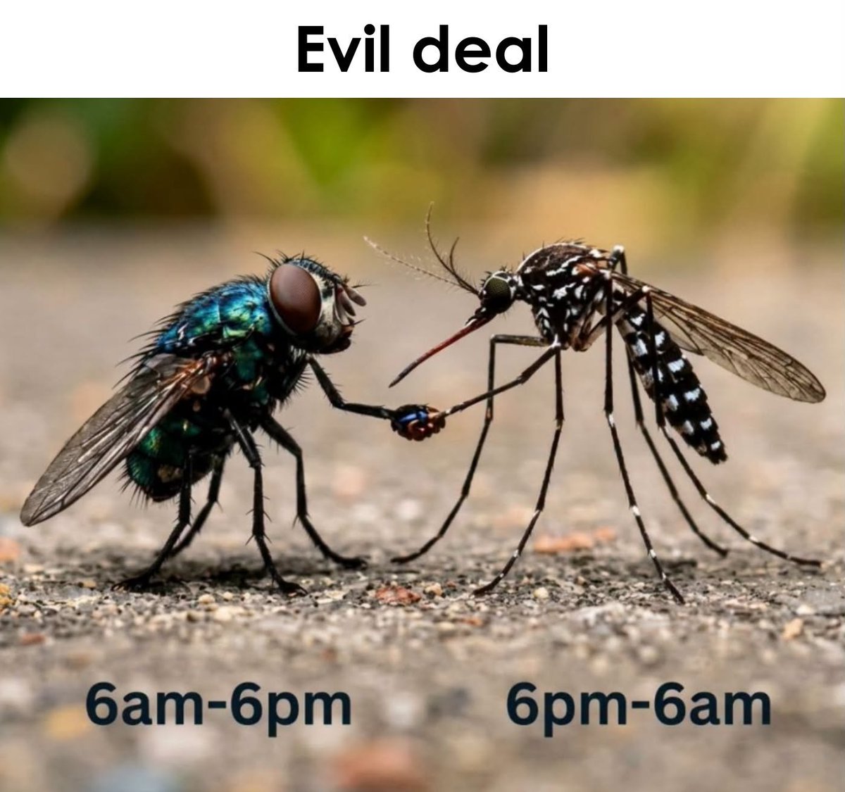 SigmaMeme__'s tweet photo. Evil deal 😂 https://t.co/1zlKnWhcoz