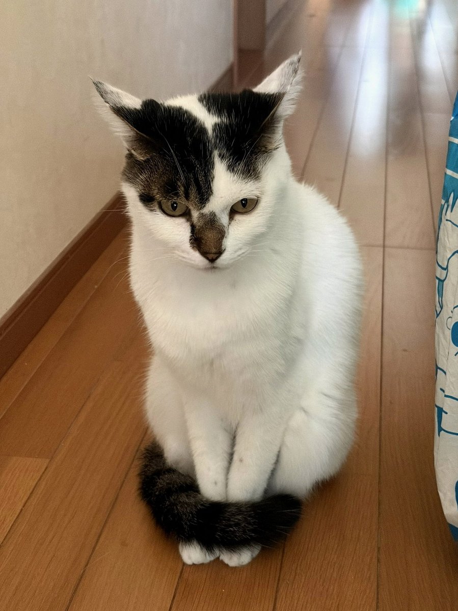 XxSkc's tweet photo. 今日明日は積みゲーでもやろうと思います。 https://t.co/foLScnzB6z