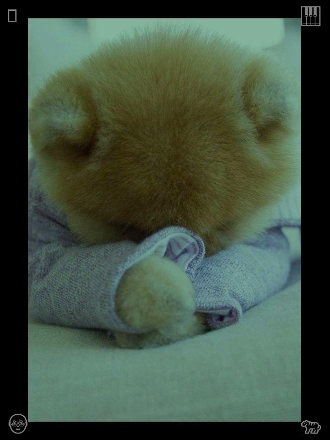 yasriyusof's tweet photo. Once they had finished eating, Jax escorted Lola back to her place, the evening breeze refreshing and chilly. They strolled at a leisurely pace, discussing what they intended to do over the weekend, and Lola experienced a bond she hadn't sensed in ages.🐇A typical day, outstandi https://t.co/E7Md7RzZmR
