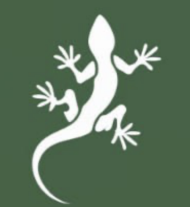 lizard_dm's tweet photo. @Nazikkrs @RaminNasibov As for me...😎😂 https://t.co/CyMfrmzQR2