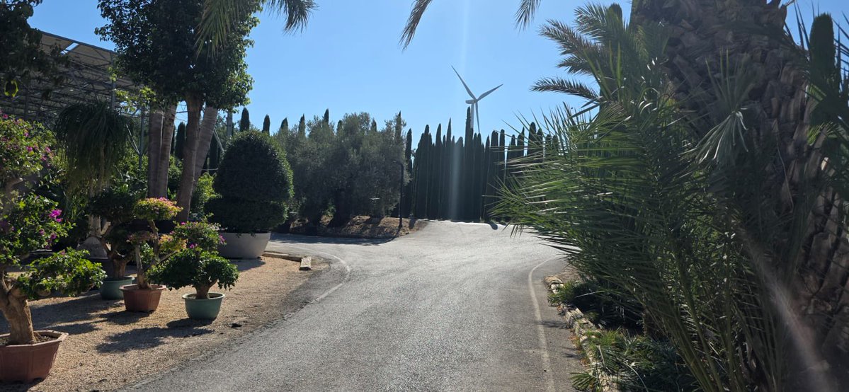 marceliiine98's tweet photo. today i walked 🌴 https://t.co/nXB9SCjk0m