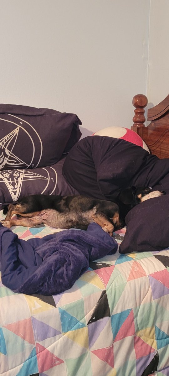 Hellspawn_Death's tweet photo. Rest in peace, Abby. My baby girl. You helped me through some of the worst times in my life. You deserve to rest. Eighteen years of loving you. Rest, baby girl. I love you, Monkey. https://t.co/JeqsK50g56