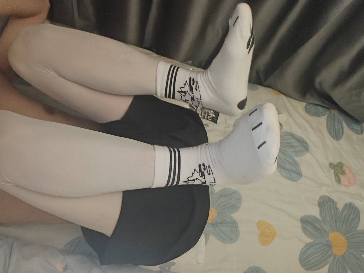 bspgvc's tweet photo. 白色小狗也很可爱捏 https://t.co/RFKSXK8D8M