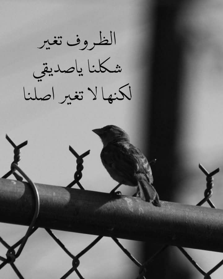 samyr2018's tweet photo. يَا طِيْر مَهمَا طِرت فِي جَوّ السِّمَا .. لَابُدّ مَا تَنْزِل رِضَا والِّا صَميل مِنْ وِيْن بَاتِشْرَب إِذَا جَاك الظُّمَا .. واِنْ قِلْت رِيشَك يَخْزِن الْمَاء مسْتَحِيل
#المخأ 
#الجوف_اليتمة 
#الحديدة https://t.co/VwUmPSvfrS