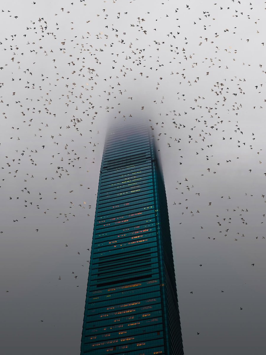 eyeonaxis's tweet photo. Dreamy compositions of buildings by Costas Spathis: low-angle shots of skyscrapers from around the world surrounded by flocks of black birds. https://t.co/o320DuKgFs