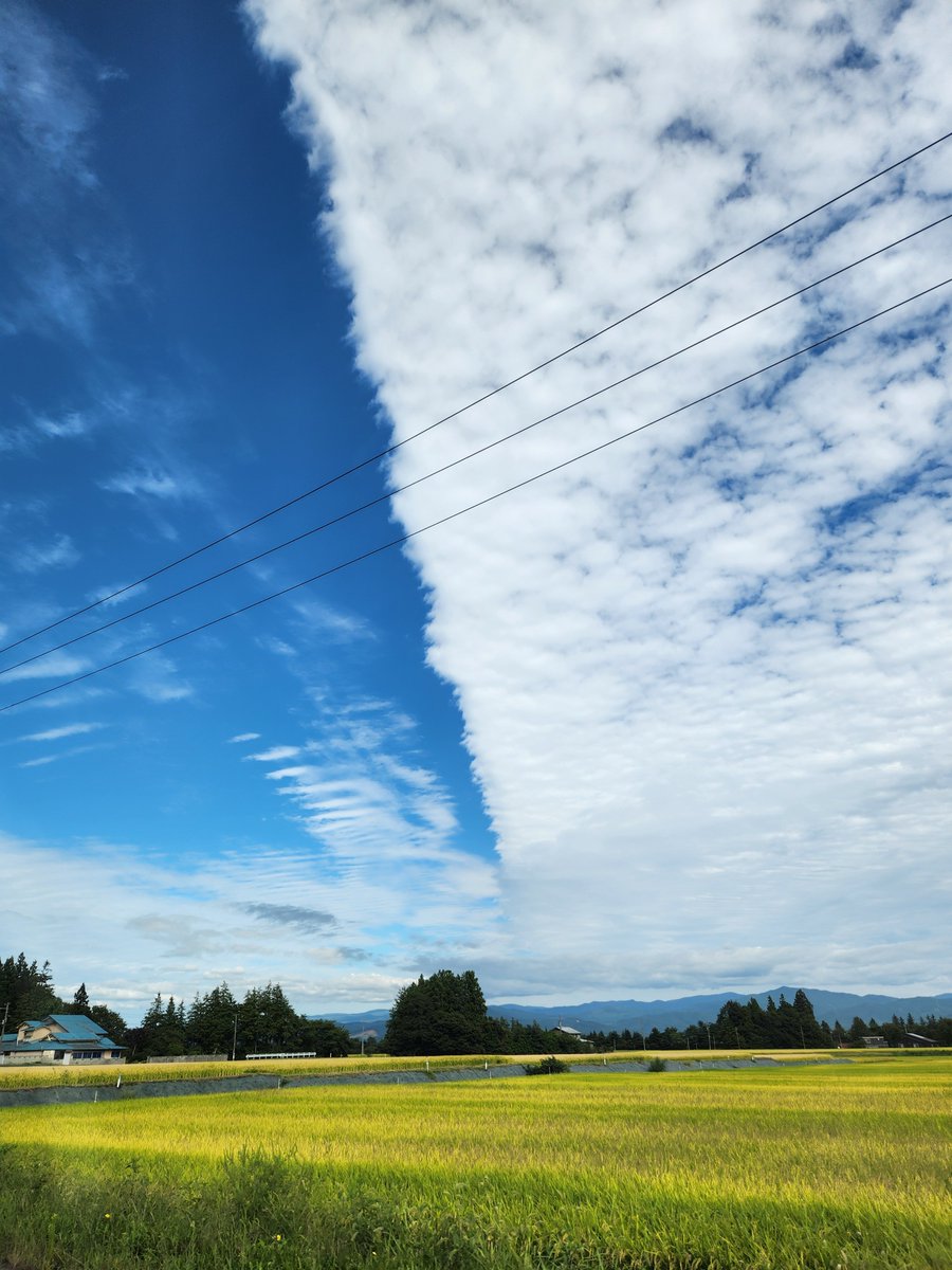 natsu0722yt's tweet photo. 今日の雲

空で境界線が出来ていて不思議だった！
秋ですね🍁🍂 https://t.co/jsKKAWZdyc