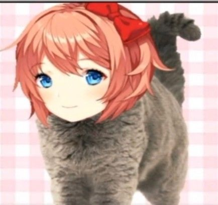 rotting_weeb's tweet photo. я радуюсь без причины и иногда ето переходит в эйфарию https://t.co/z19vgMkrmI