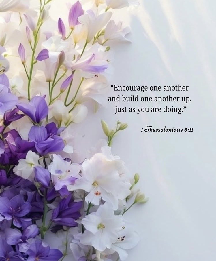 Lilymlilka's tweet photo. Good morning! ☀️
Never underestimate the power of a few kind words. Take a moment today to lift someone up, share a smile, and spread a little peace.💟
Wishing you all a peaceful, blessed day!💜 https://t.co/JeADlmozmy
