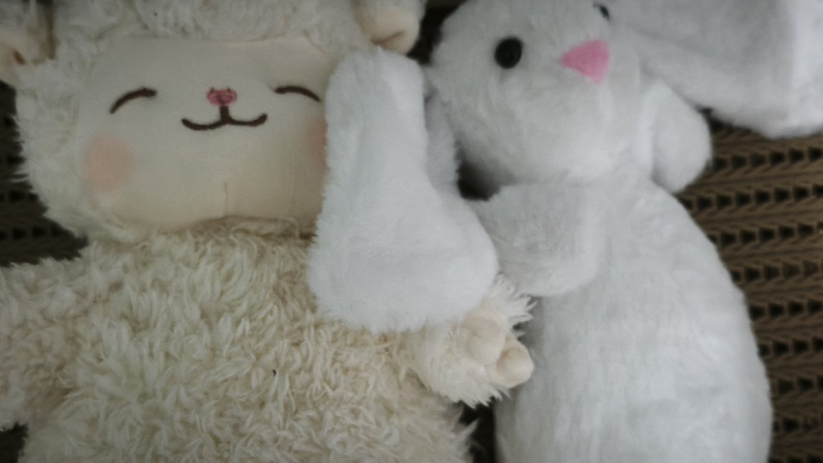 sweet_heaya's tweet photo. #wolfgrace plushies https://t.co/fbTasxlQe2