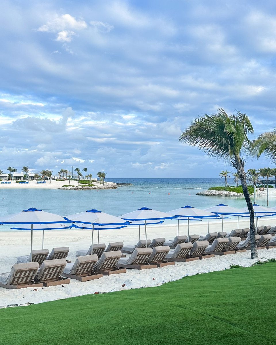 chew143's tweet photo. Trade autumn crispness for paradise with a Fall getaway to Norwegian Cruise Line’s private island, Great Stirrup Cay. 🍂✨ Swap chilly breezes for warm, crystal-clear ocean waters, or lounge poolside with refreshing cocktails and island-inspired cuisine. Unwind under the... https://t.co/x1O7CgeErS