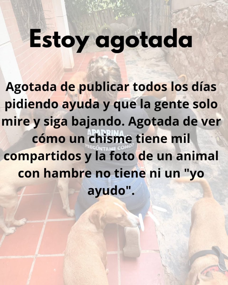 FndDamascol's tweet photo. Hola soy Diana lozano directora de @FndDamascol y esta es mi historia! https://t.co/RS1HNXTBxs