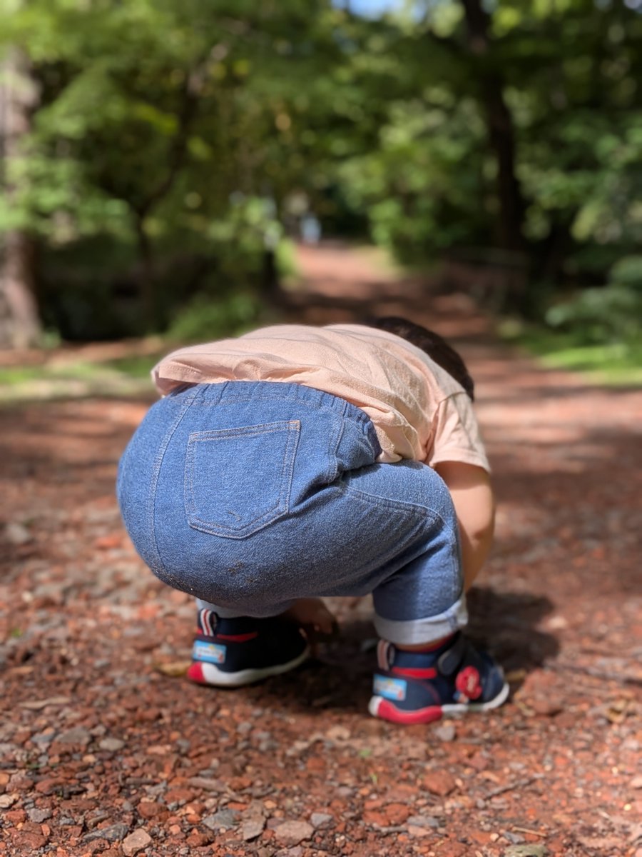 saorigraph's tweet photo. 街路樹や赤い実が好きな3歳坊に色々な樹木を見せたくて北大の植物園へ。

植物園に行ったが、1歳坊はひたすら石を拾っていた。こちらは無事石デビューを果たした模様。
（なぜ男児は石を拾い集めるのか） https://t.co/W2fCFu3CoT