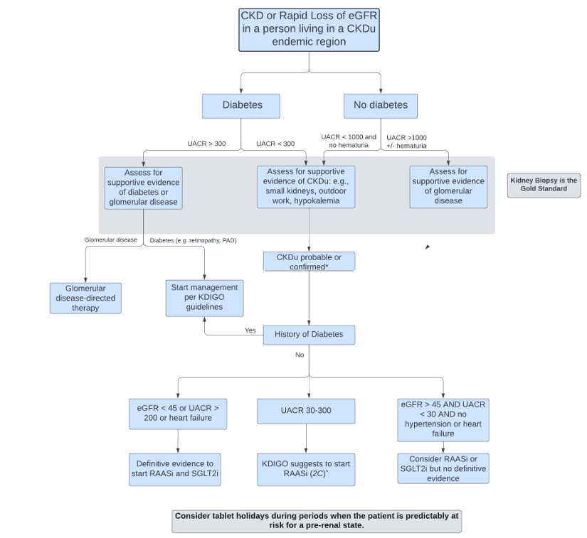 NDTsocial's tweet photo. Chronic kidney disease of unknown origin – management proposal

https://t.co/H1Ya2s39qo https://t.co/Dskti6nTSz
