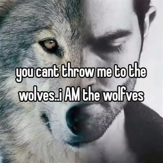 cookiekooked's tweet photo. I CANT TAKE IT SERIOUSLY WHENEVER WOLVES ARE MENTIONED 😭😭😭 https://t.co/U6eSeSC05i