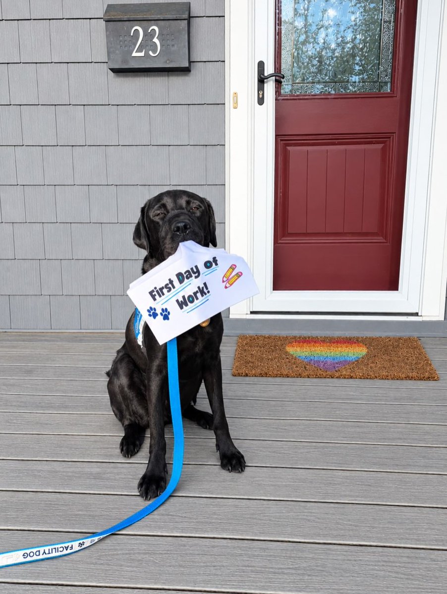 A dog holding a sign in its mouth that reads "First Day of Work" sits on the porch of a house. The door is maroon, and there's a rainbow doormat. The house number 23 is visible.