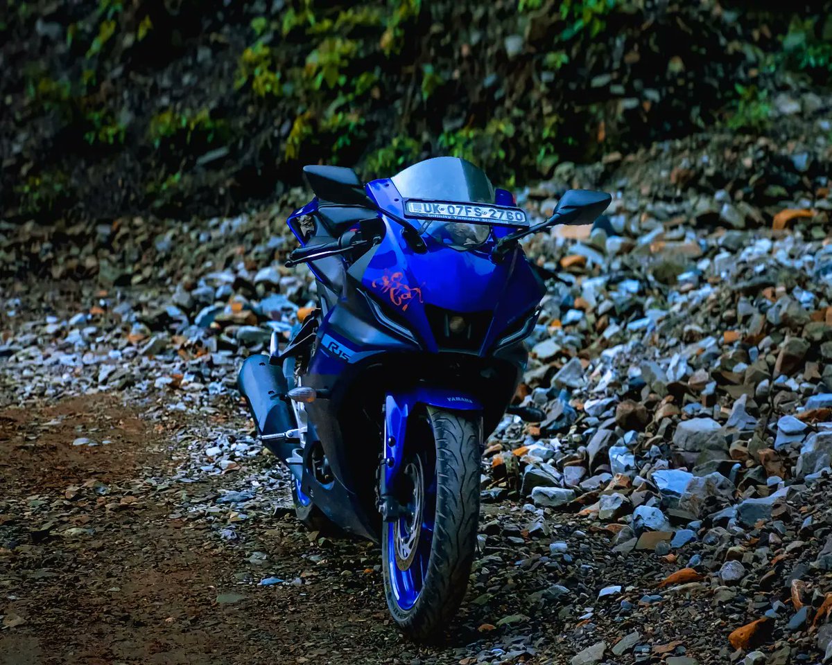 shenksid's tweet photo. Call Of The Blue....... https://t.co/SrEfmqyJQi