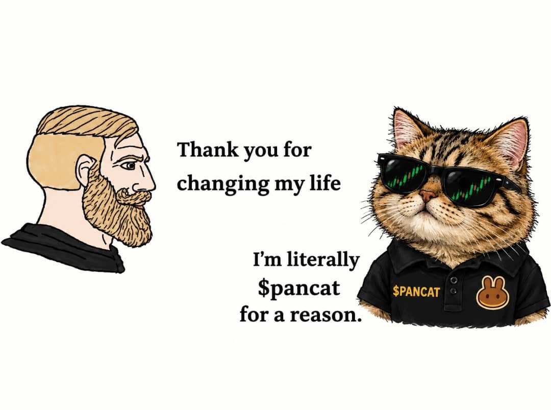 PanCat_Bsc's tweet photo. Some people’s reality after launch
$PANCAT https://t.co/tAQgdtlkbq