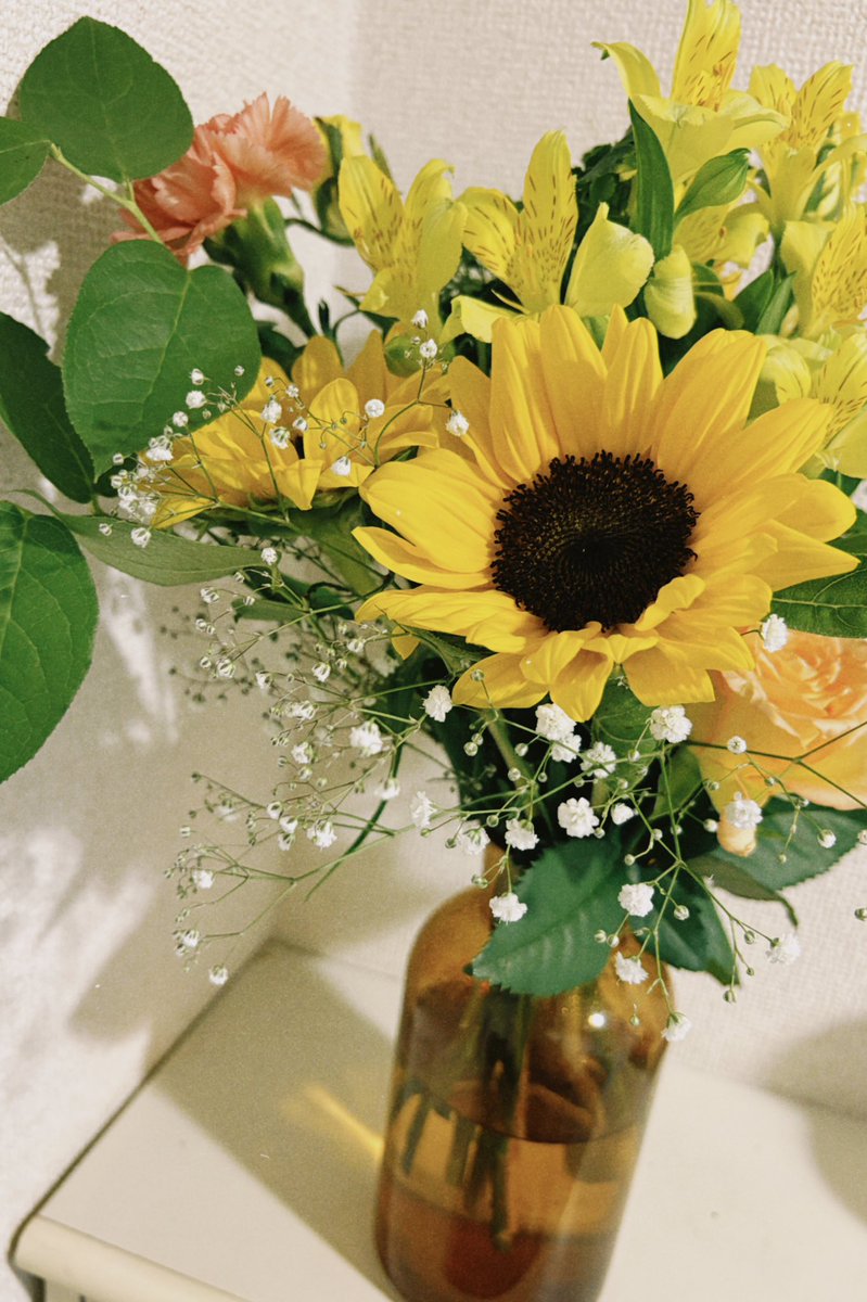 tetsuya_1215's tweet photo. #僕たちの映画館 で頂いた素敵なお花たち。

名前も花言葉も全く詳しくないですが、
置いてあるだけで気持ちが晴れやかになるので花は結構好きです。

タンパク質が豊富ならサイコーでしたが、
とても綺麗なので今回は良しとします。 https://t.co/xmvcIRd6Lp
