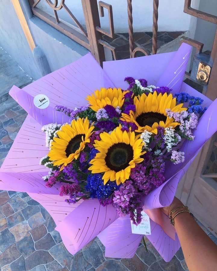 sunflowerchives's tweet photo. Pretty https://t.co/Q8cQqDL3rU