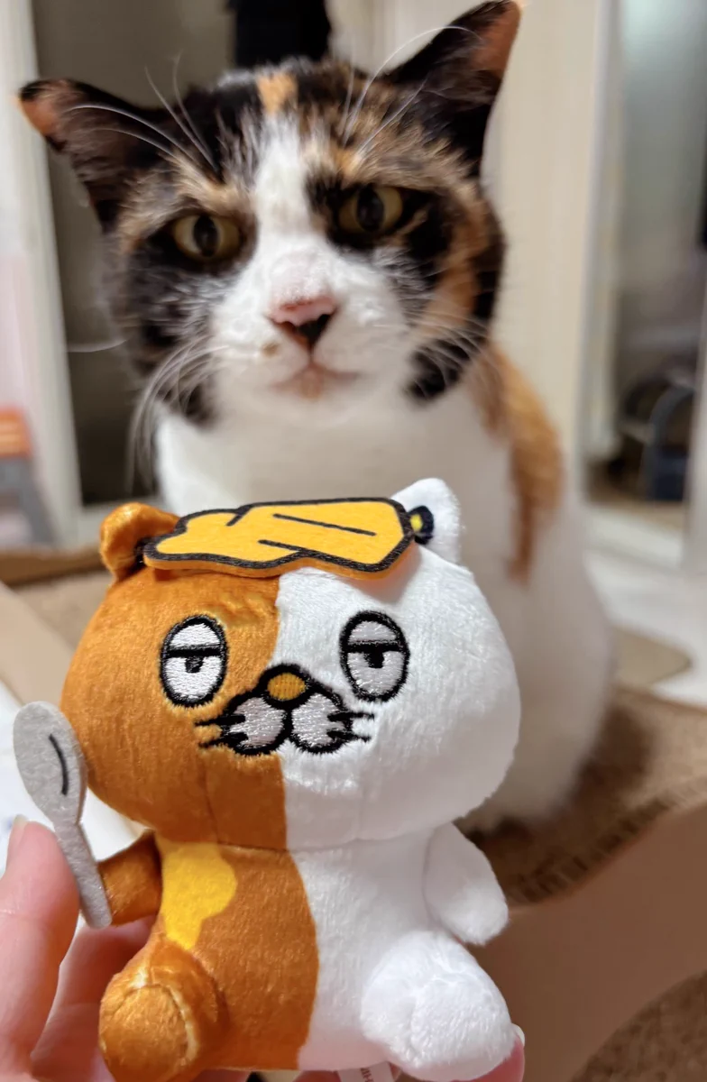 可愛い猫のぬいぐるみ いずみ さや on X: 