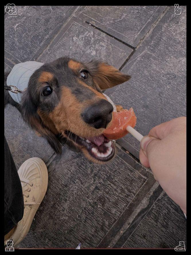 maritaro1229's tweet photo. "What would you like to order?" he inquired, halting briefly. Lila looked over the menu, her gaze landing on "mango bubble tea" and "passion fruit tea." She chose to go with the mango option, intrigued by the fruity variation of the traditional beverage.🚴Fresh olive salad https://t.co/kteHtqBuVi