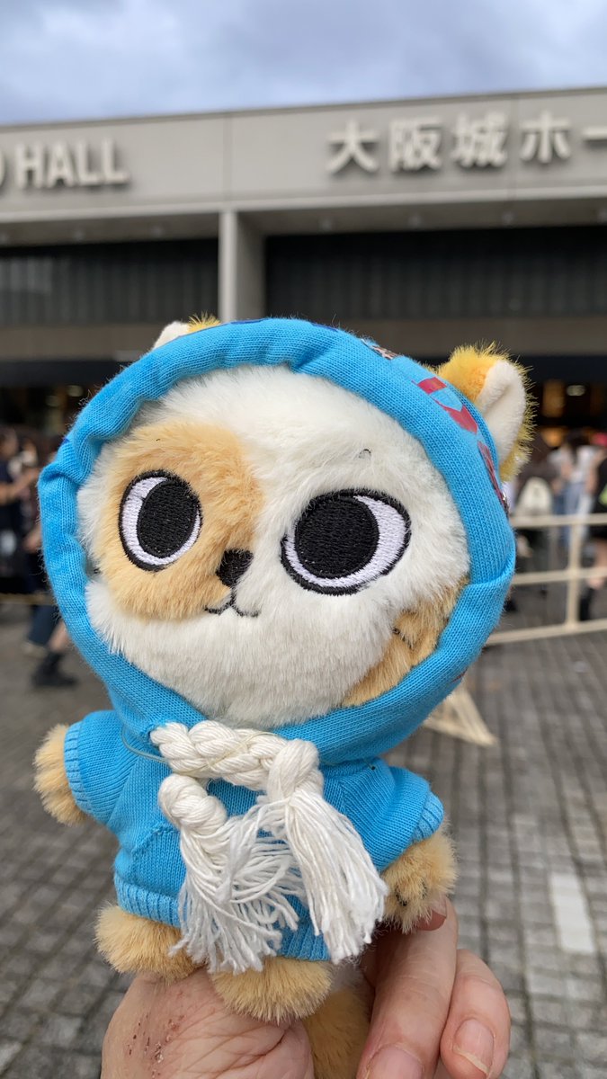 KyosakaK's tweet photo. #BOYNEXTDOOR 
２０２６０９０９、10
大阪城ホール行ってきた〜

２日ともFC1次枠の1番後ろのスタンドだったけどライブ全般楽しくてみんな魅力的で堪能した‼️
ハーフアップのソンホちゃんもふわふわソンホちゃんも非現実的な美しさでありました。
サウチェでは近くで見れて本当鼻血出そうになったわ https://t.co/0u2bUvTMGp