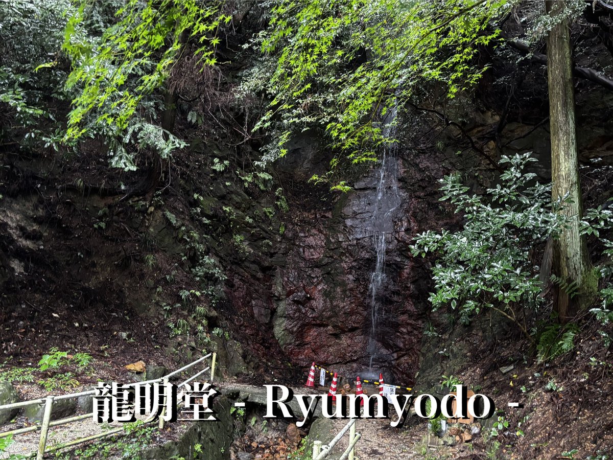 ryumyodo's tweet photo. 今年の #龍明堂 の9/8〜10は #読経三昧 の日々。
今年の最終日は、預かっておりました #金魚 たちの位牌など #ご供養 を行い、弔える場所へご遺骨などを移動いたしました。多くの方々が来られる場所で、#祈りの滝 におられます #ご神仏 の下で自由に泳いでいることを祈ります。
#南無大師遍照金剛 🙏 https://t.co/5RJ18EXqnA